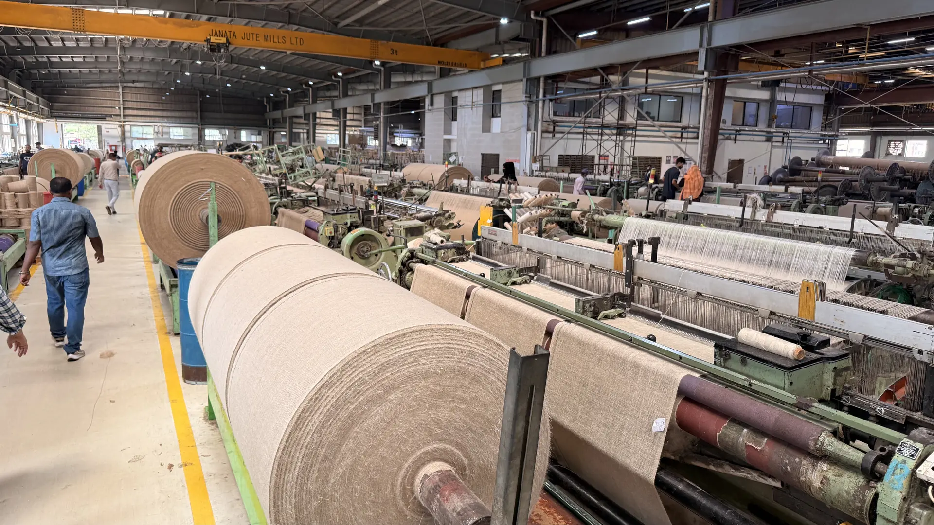 Wide weaving-mill floor: parallel power looms running hessian rolls down the line