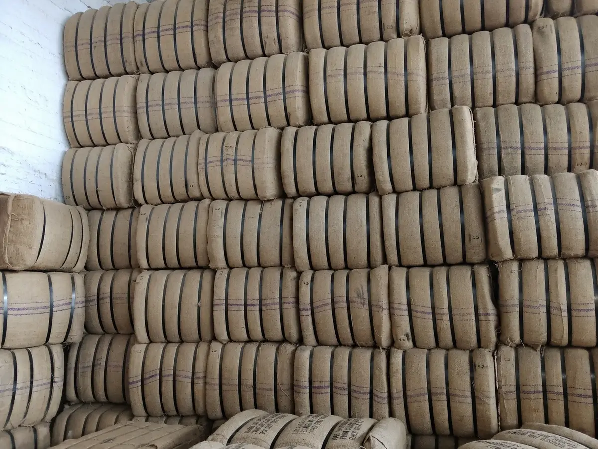 Stacked jute bales in a Bangladesh warehouse, awaiting export